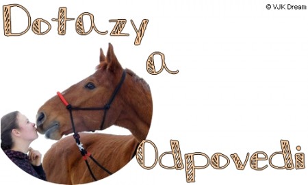 dotazy a odpovdi2