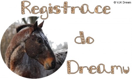 registrace2