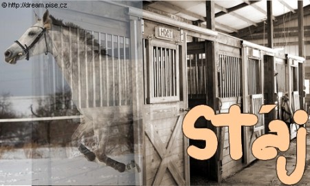 Stj