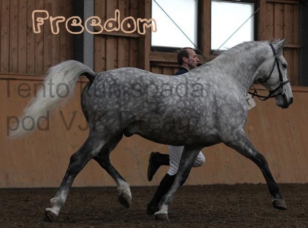 Freedom1