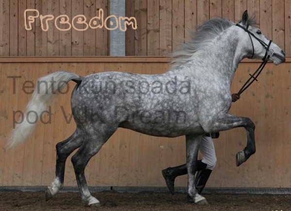 Freedom2