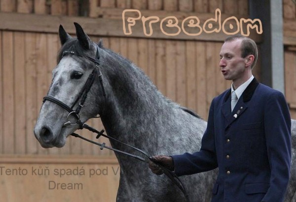 Freedom3