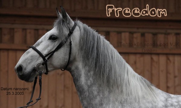 HL. foto - Freedom
