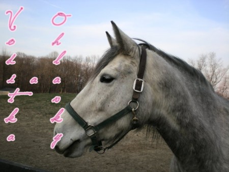 Ohlvky a vodtka2