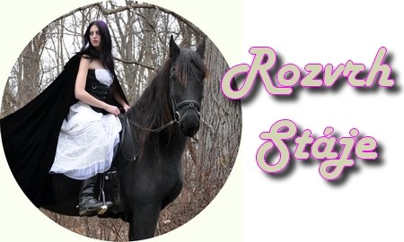 rozvrh stje