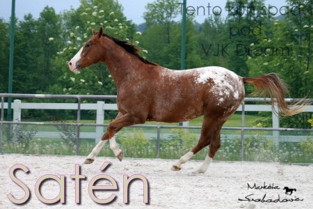 Satn2