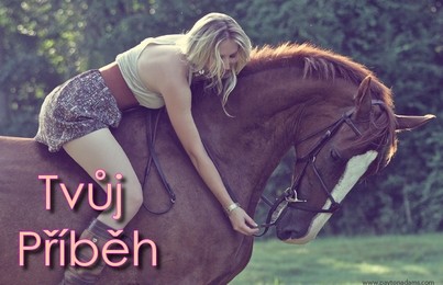 Tvj pbh2