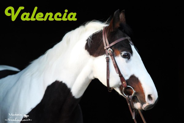 VALENCIA 2