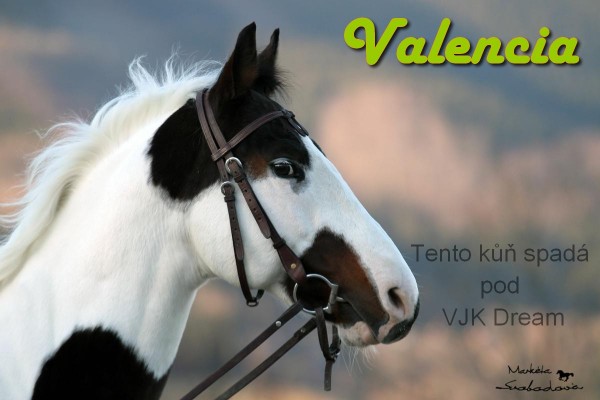 VALENCIA 3