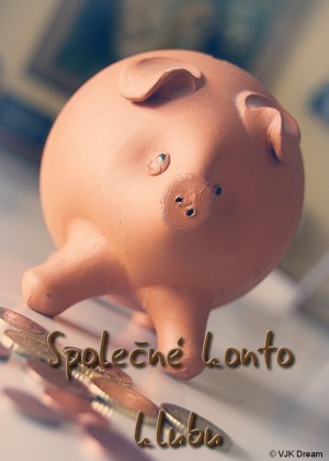 Spolen konto klubu