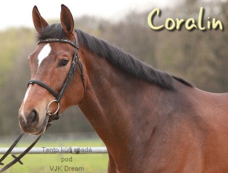 Coralin 2