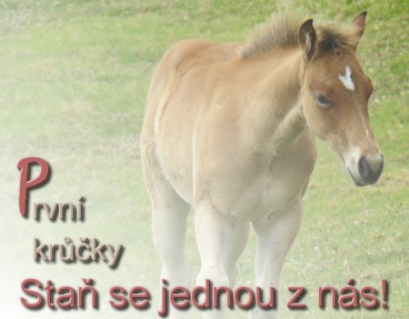 Prvn krky