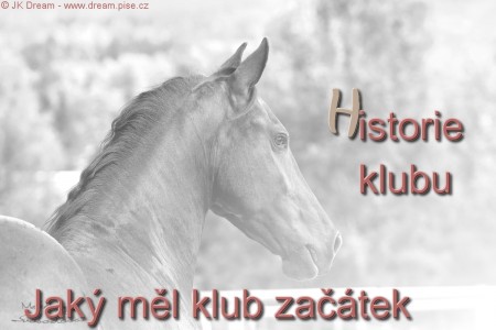 Historie klubu