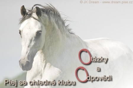 Otzky a Odpovdi