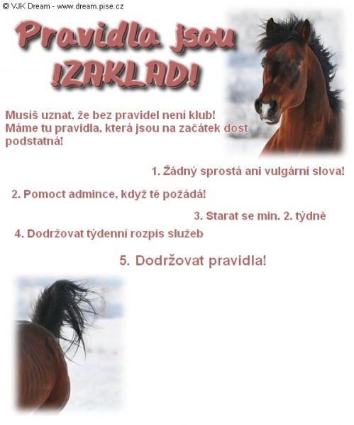 Pravidal jsou zklad